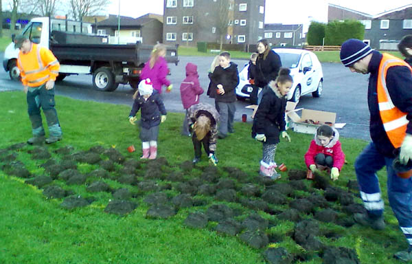 JAFFA Club Plant Bulbs