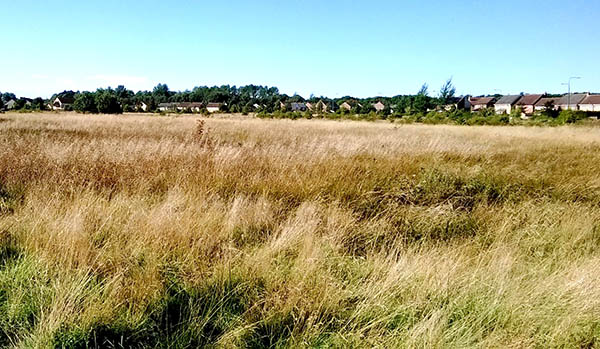 Permission Granted for 175 New Homes at Cobblers Hall