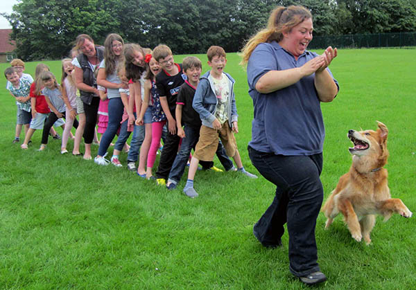 Learning About Dog Care