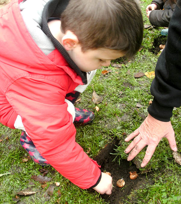 Nursery Children Plant 500 Bulbs