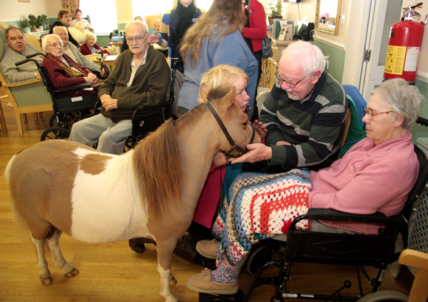 Ponies Visit Care Home