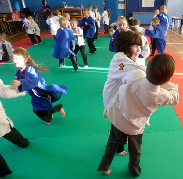 Judo Demo at School