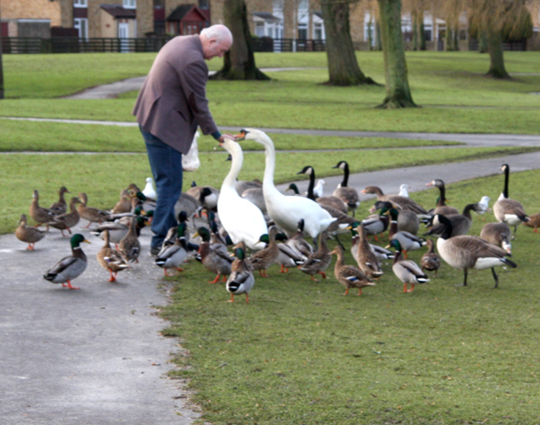 Support and Interest Grows for “Friends of West Park”