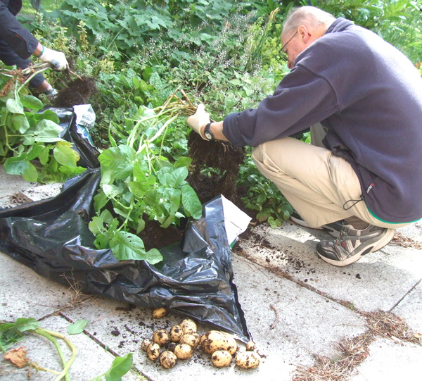 “Plot to Plate” from PCP Garden Project