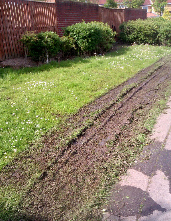 Grasscutting Result When Conditions  are Unsuitable