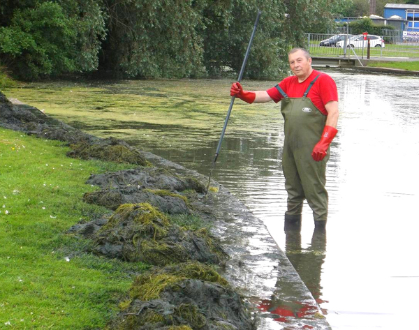 More Volunteers Needed to Clean the Lakes