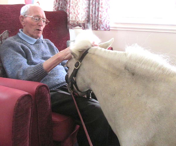 Care Home Residents  Welcome Pony Visit