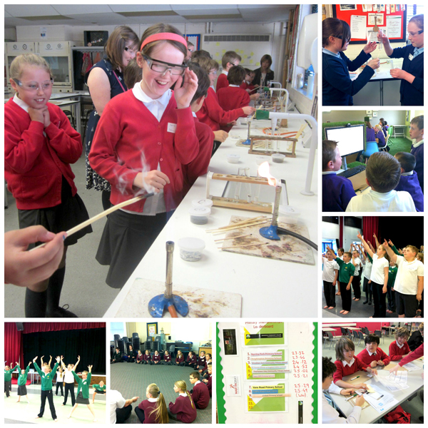 Primary Schoolchildren  Experience Greenfield