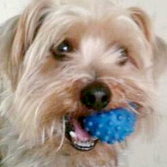 max
