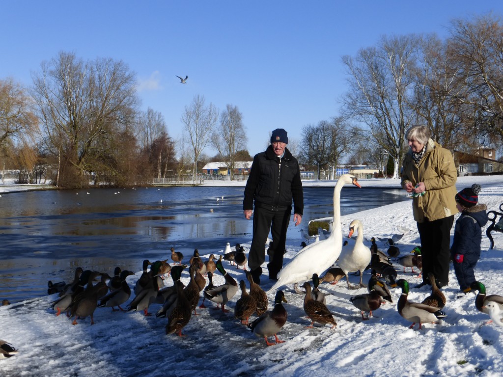 west park in the show 3 john williamson newton aycliffe