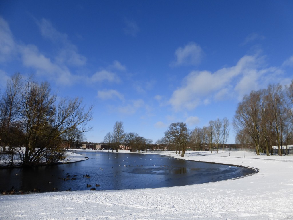 west park in the snow john williamson newton aycliffe