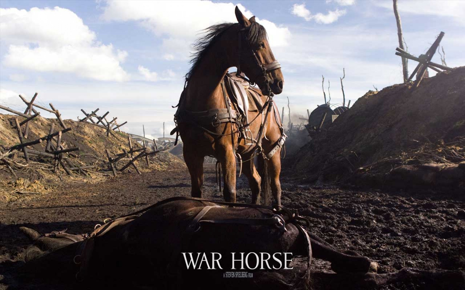 Remembrance And War Horse