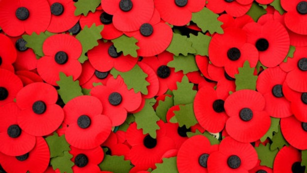 Poppy Appeal at Risk in Aycliffe