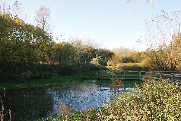 Aycliffe Nature Park Branch Committee