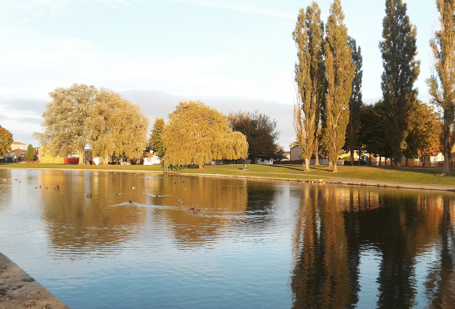 Beautiful West Park Lake