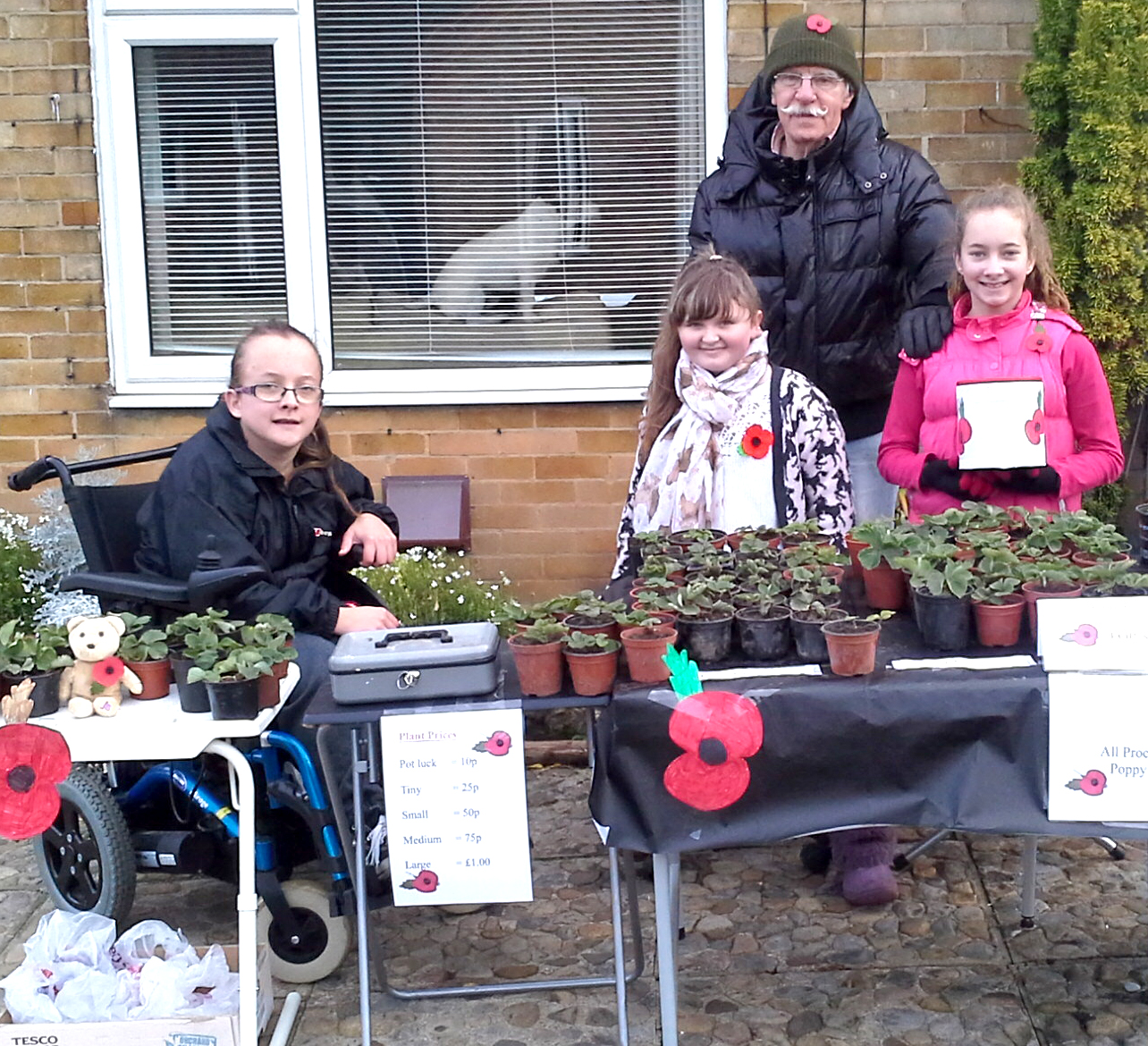 Strawberry Plant Sale for Poppy Appeal