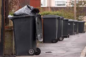Bins Out by 7.00am