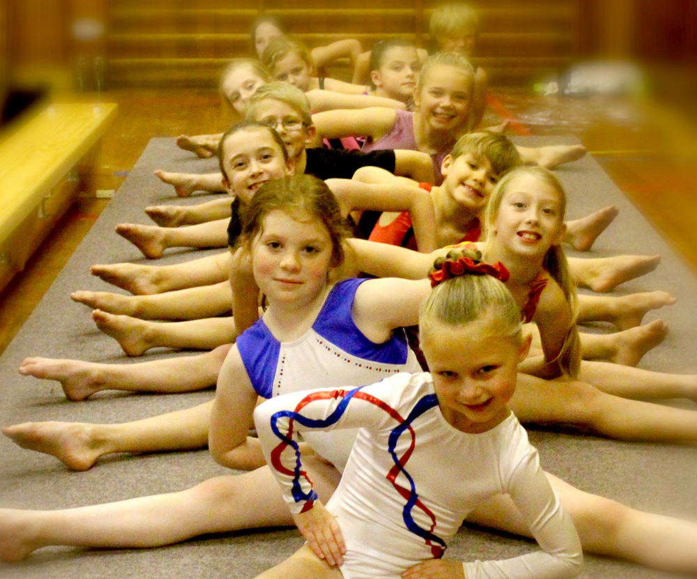 Gymnastics – A Fast Growing Sport