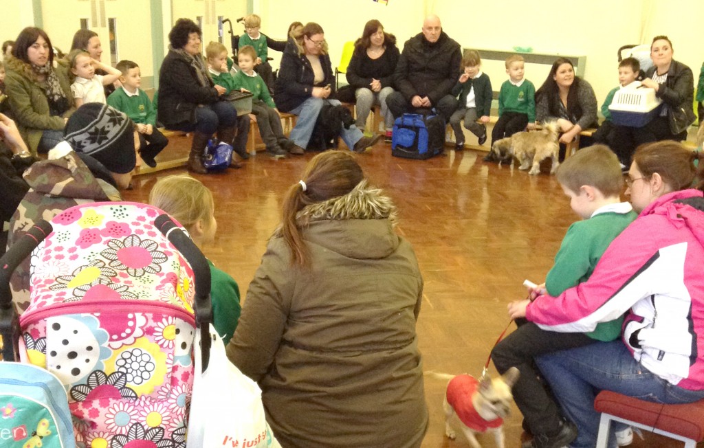 pet show at sugar hill newton aycliffe