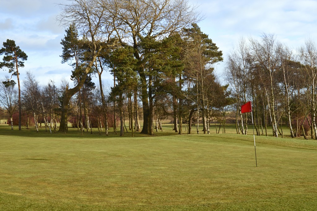 Woodham Golf Club 2 newton news