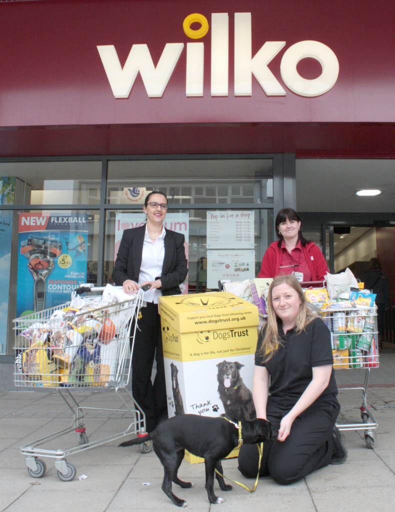 Wilko Customers Help Dog Trust Newton News