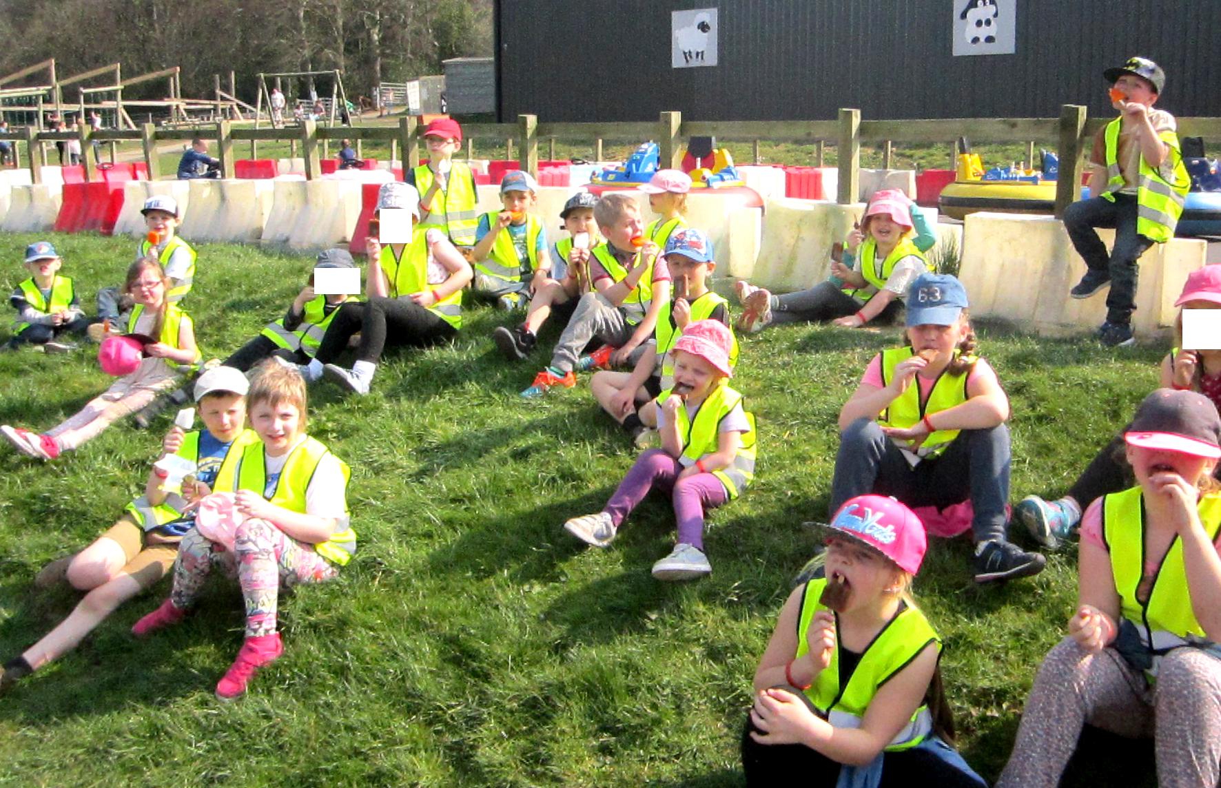 School Club Down on the Farm