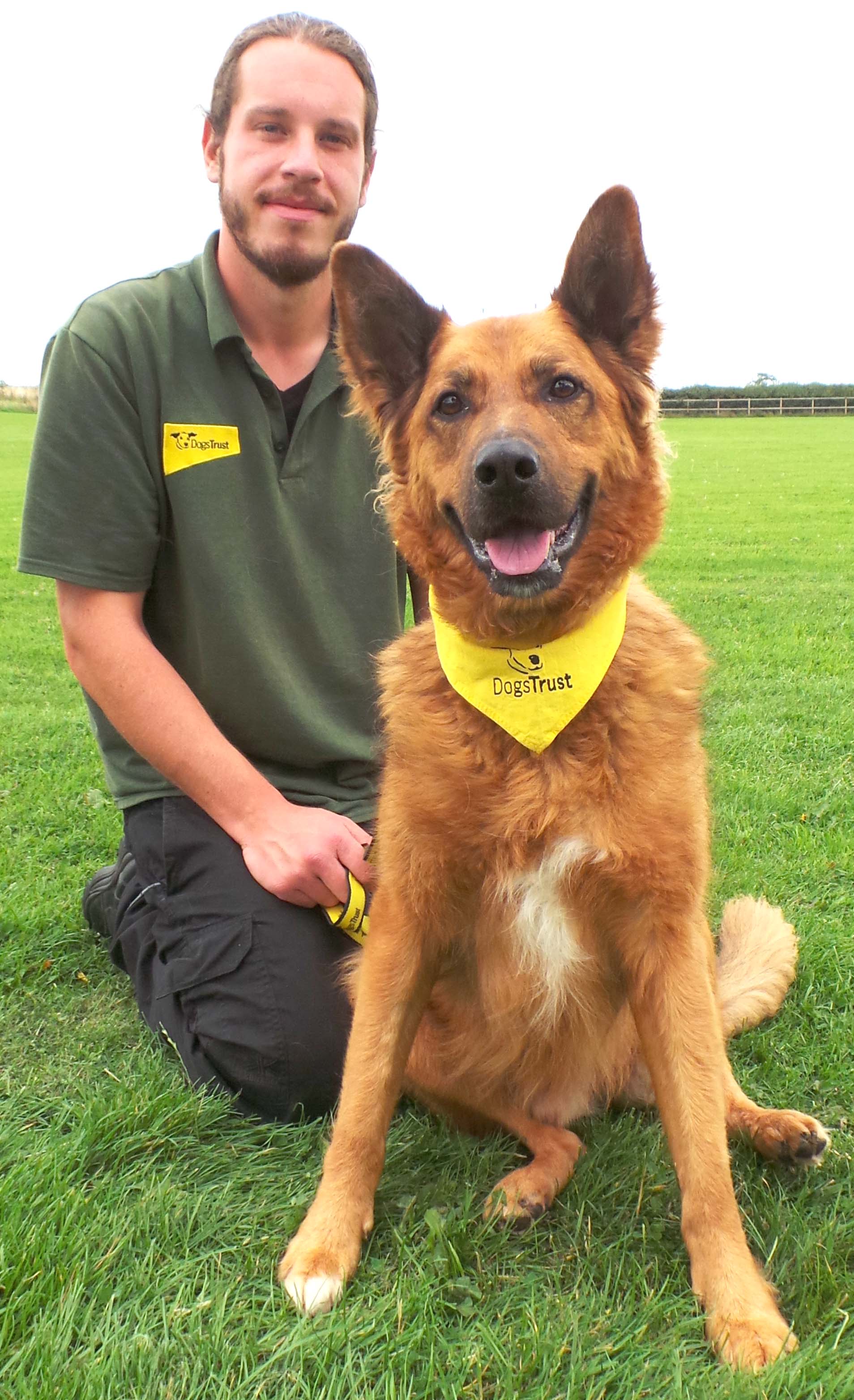 Dogs Trust News