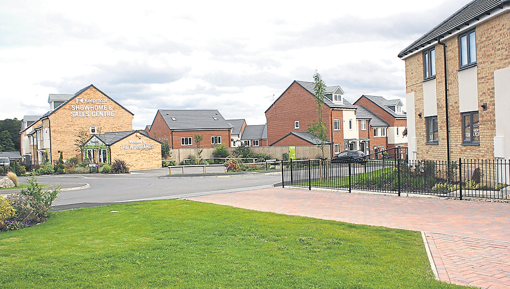 Cobblers Hall Road an Eyesore