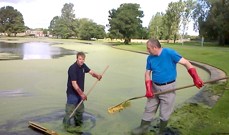 Town Council & Community Tackle Lake Duckweed