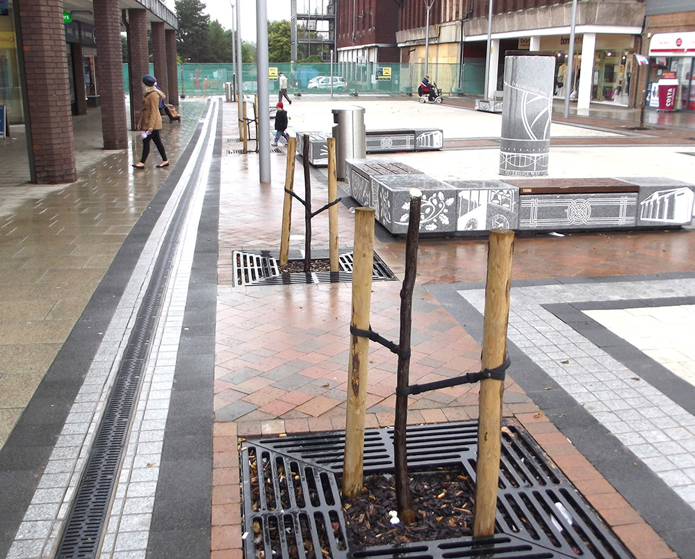 Where’ve the Town Centre Trees Gone?