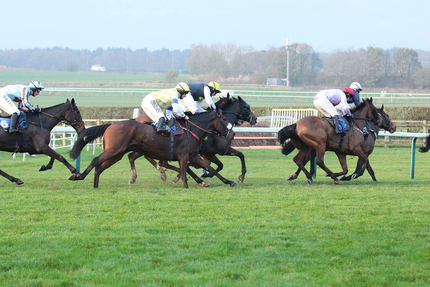 Four Legged Legends Parade at Sedgefield