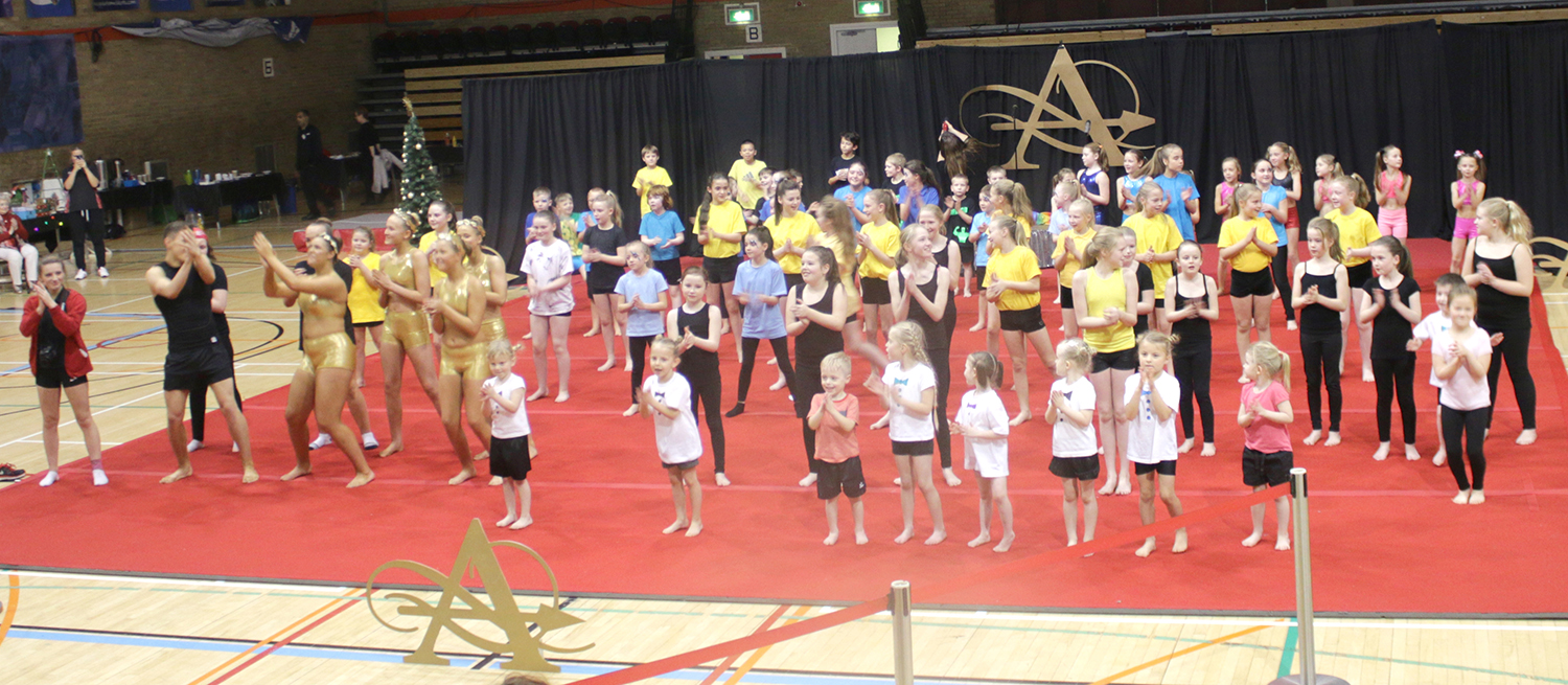 Fantastic Gymnastics Show at Leisure Centre