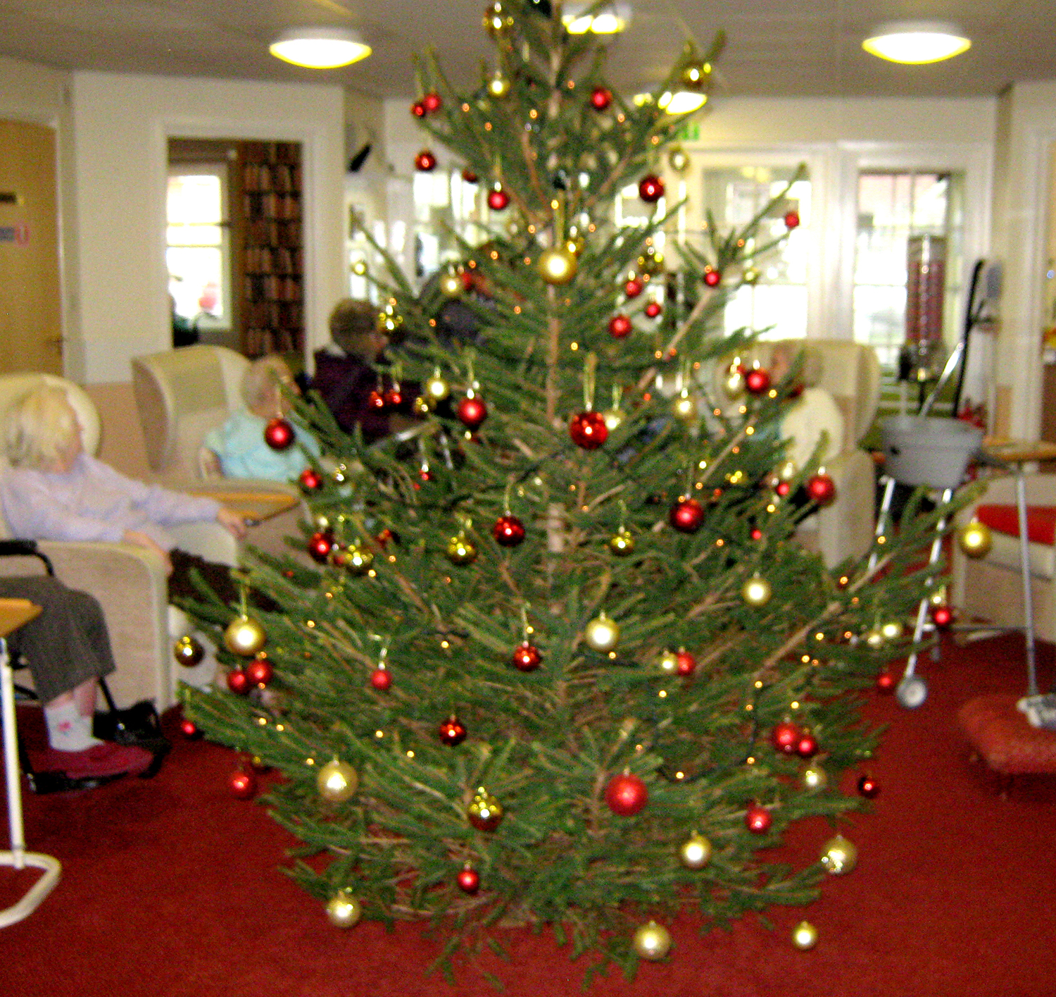 Christmas Tree Donated to Care Home