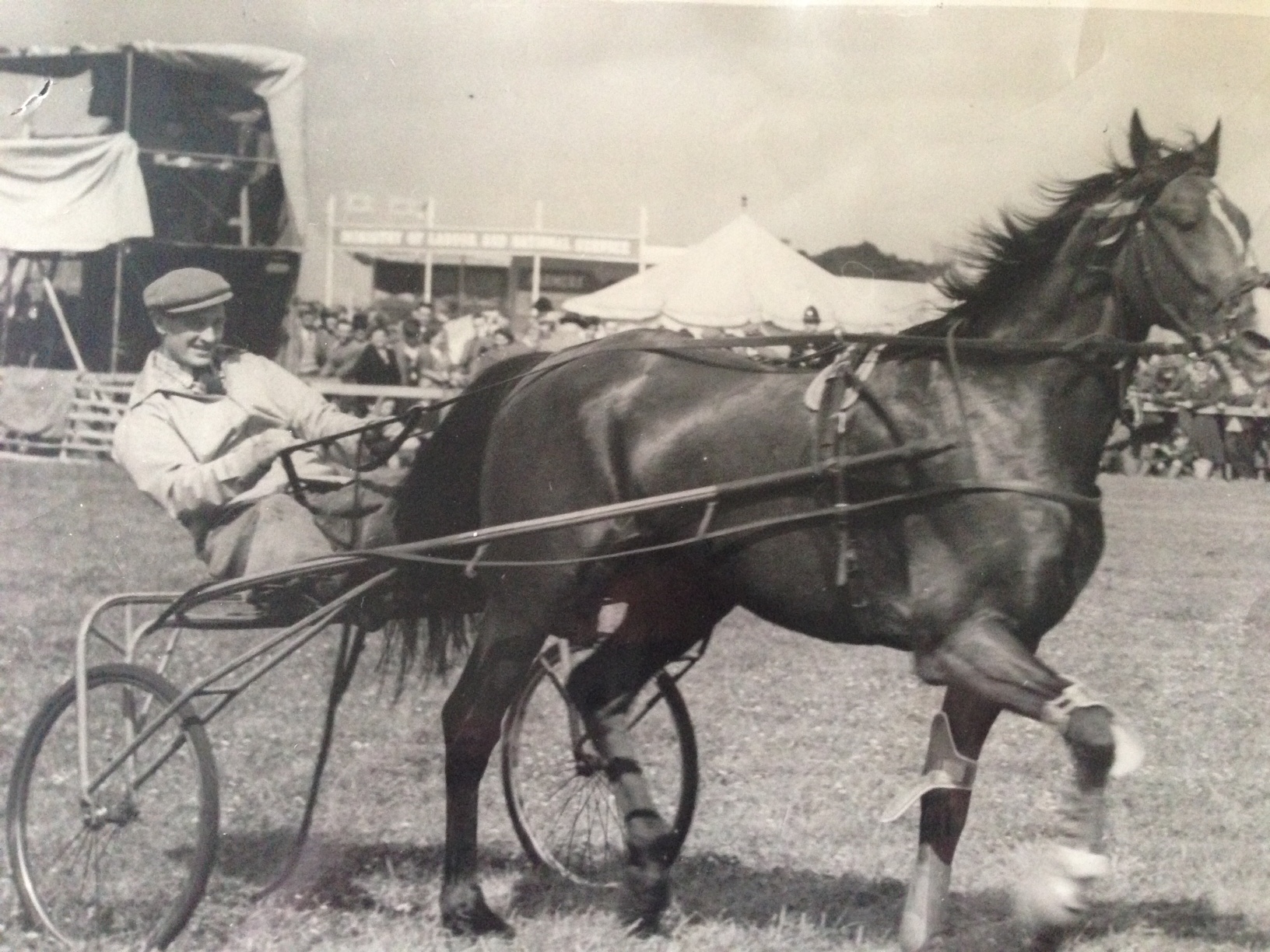 Lunch with Sedgefield’s Historic Leading Trainer