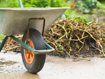 Garden Waste Collections to Restart