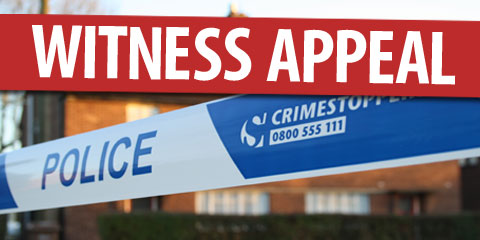 Witness Appeal