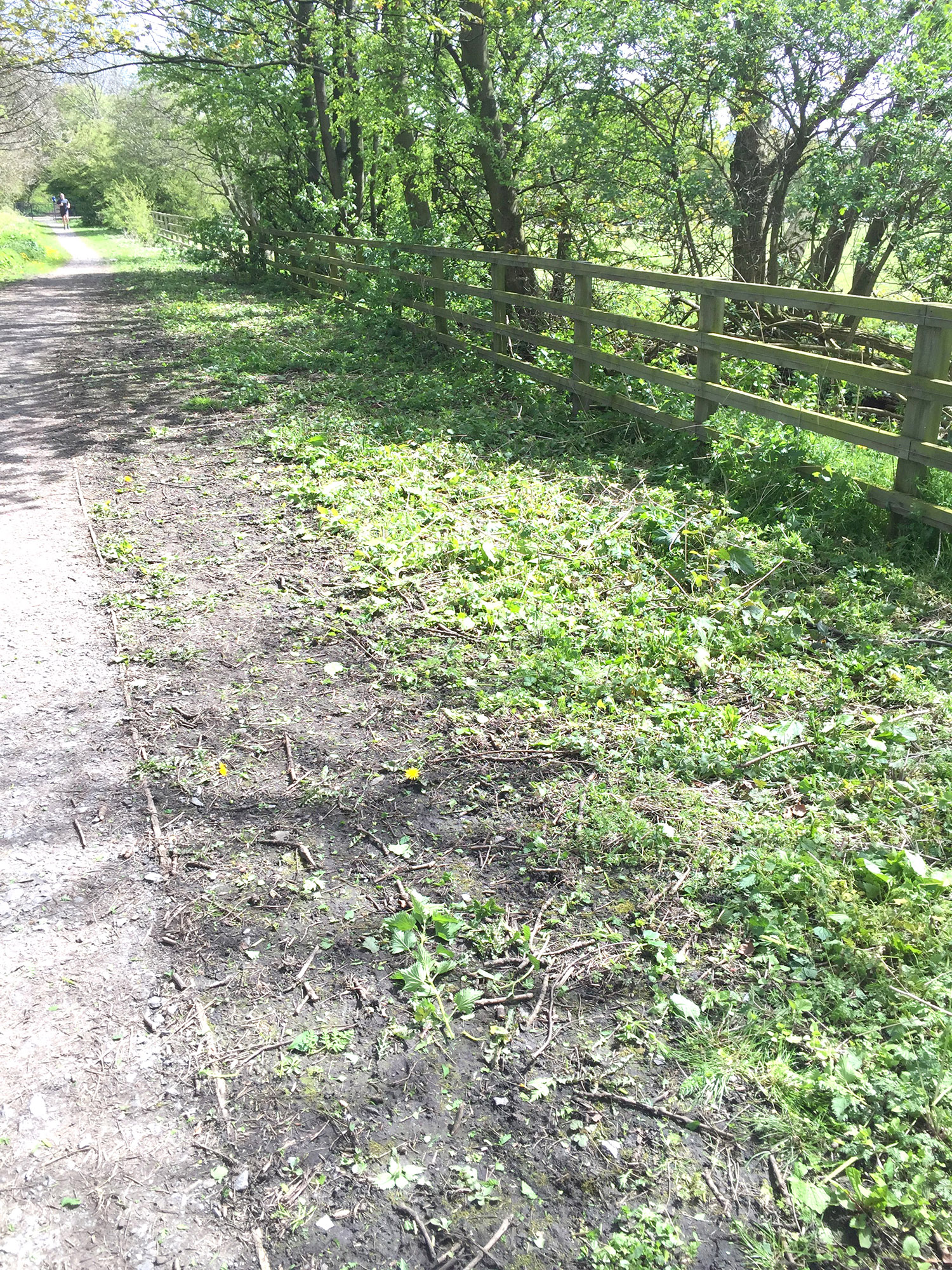 Probation Service Ruins Town Nature Trail