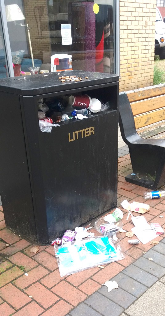 litter bin 2