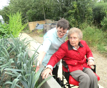 Hospital Horticulture