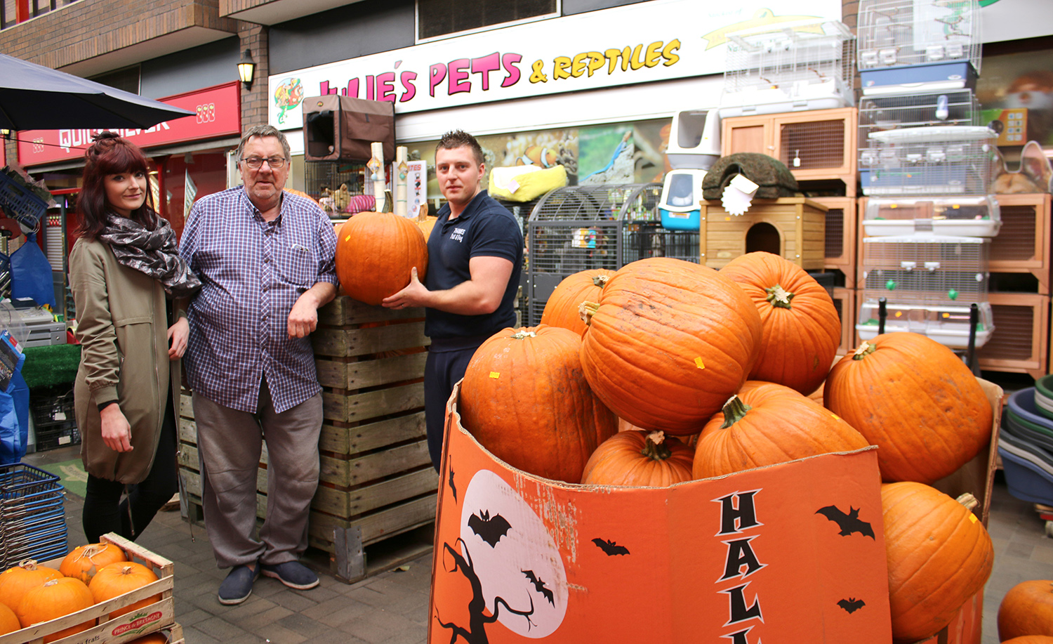 Hallowe’en Pumpkins