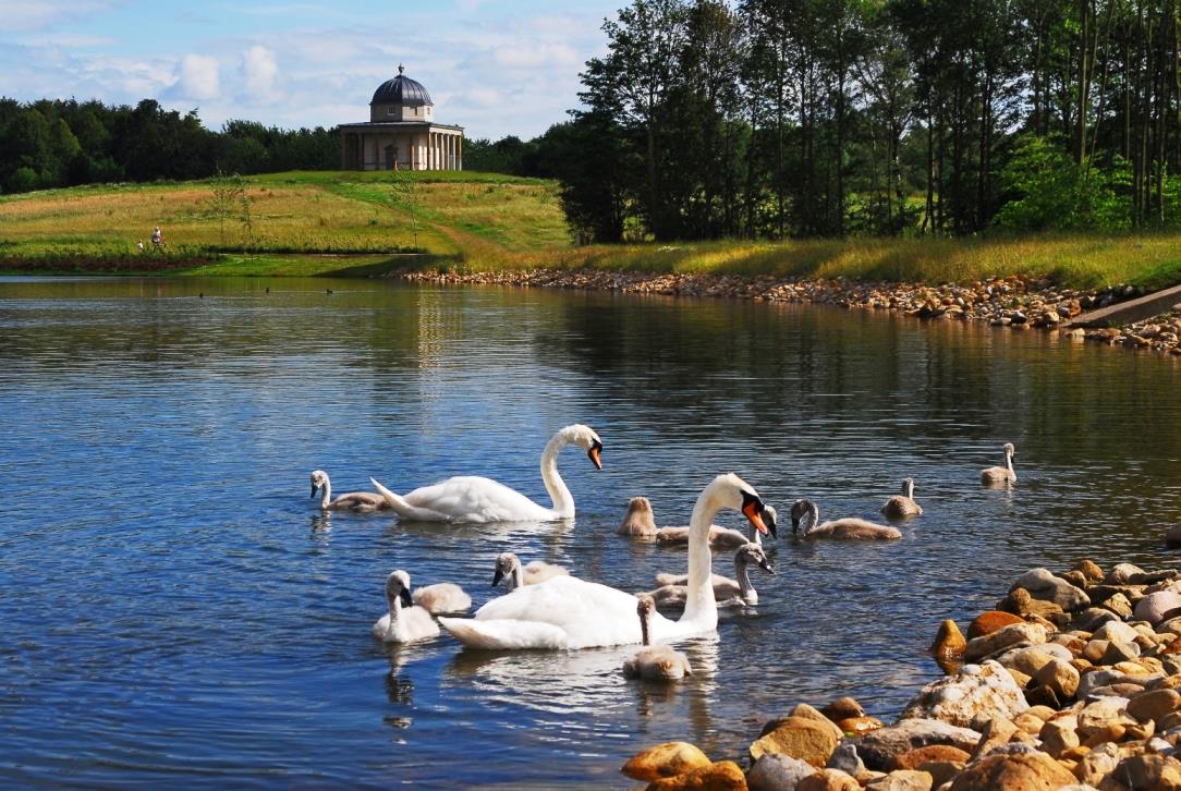 Vote for Hardwick Park