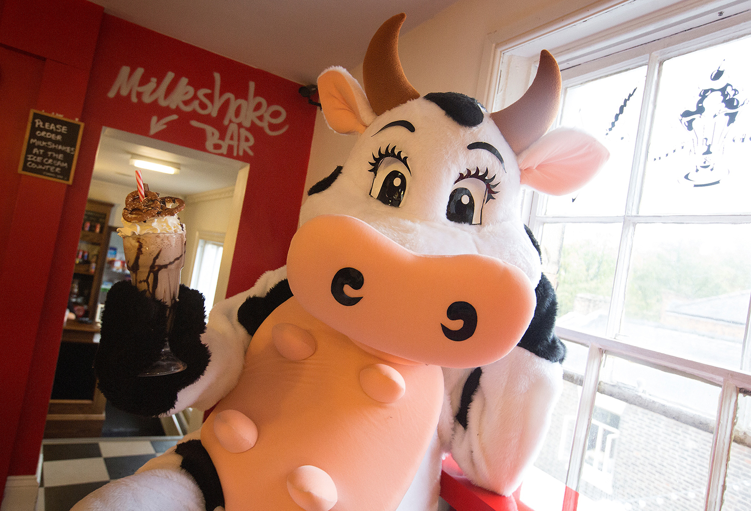 Gala Shakes Things up For Pantomime Cow