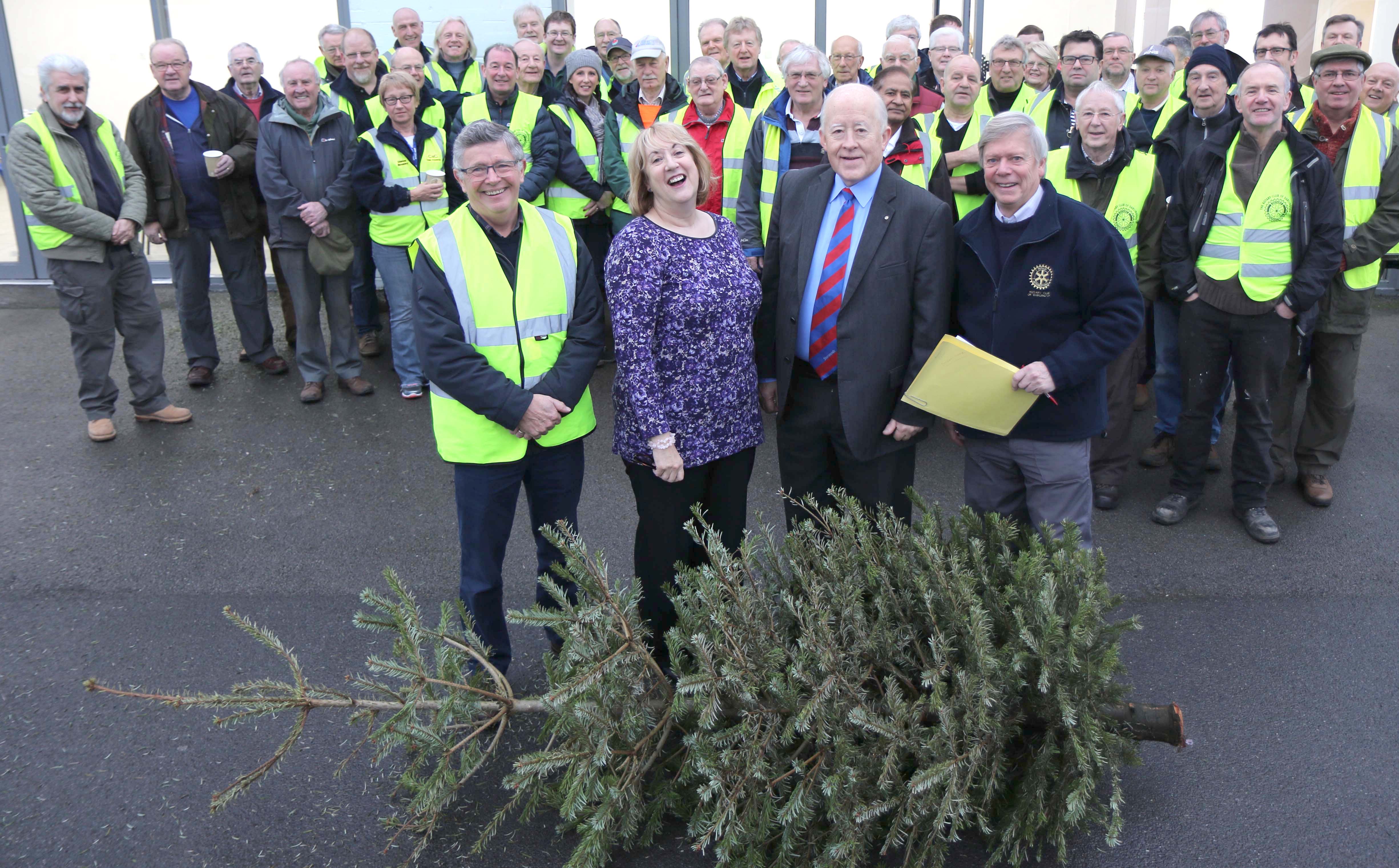 Christmas Tree Collection Service