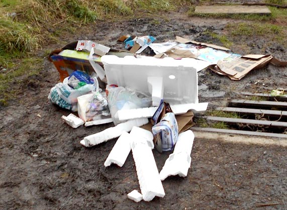 Woman Counting The Cost of Fly-Tipping