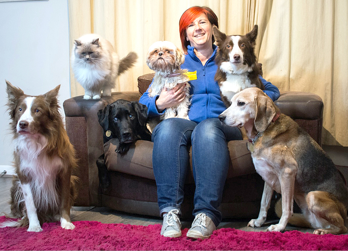 Sharon Has Adopted Four Dogs Over 10 Years