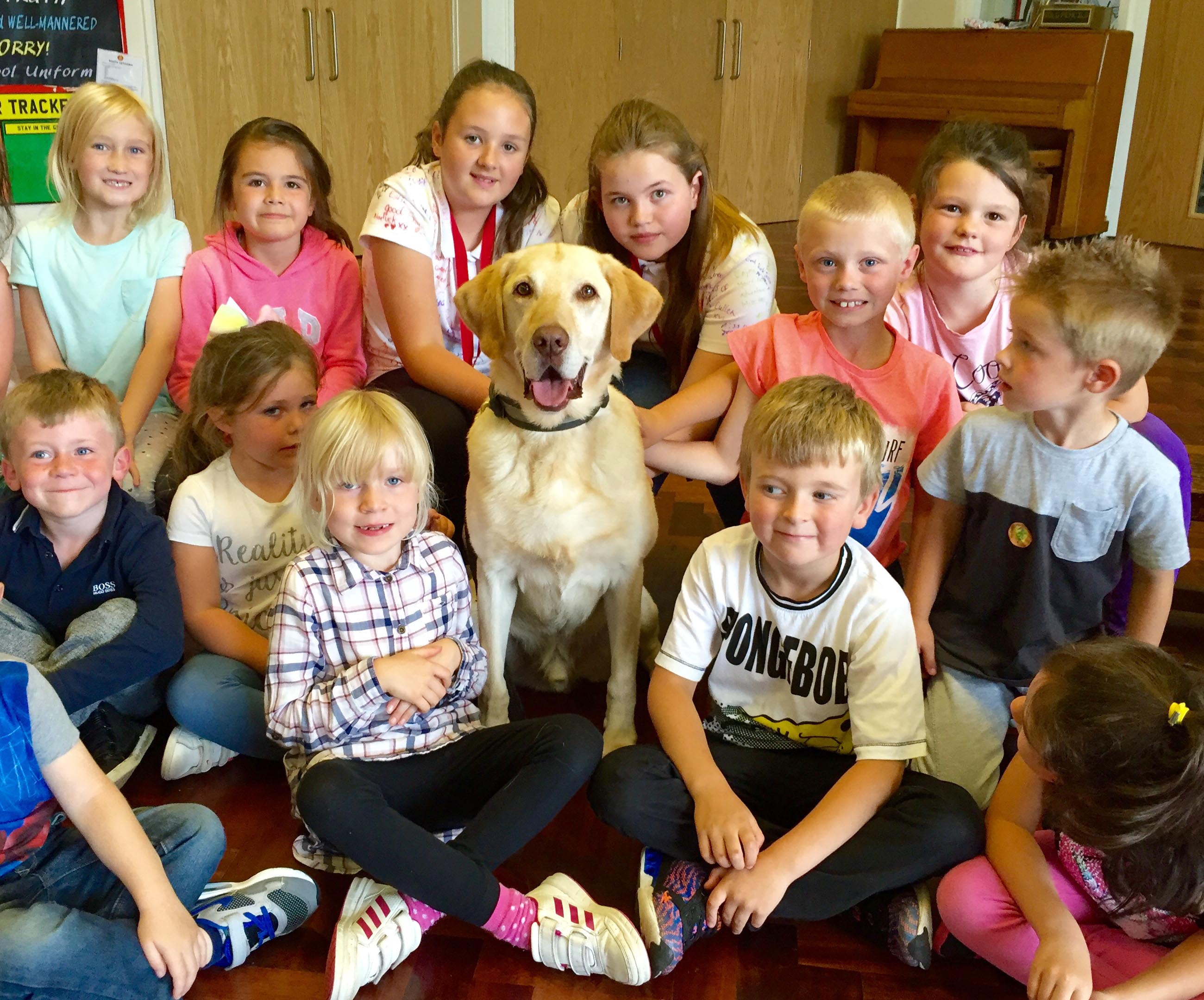 Popular Police Dog Puts up His Paws