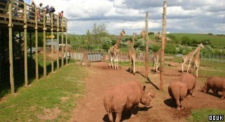 Bus Trip to South Lakes Zoo