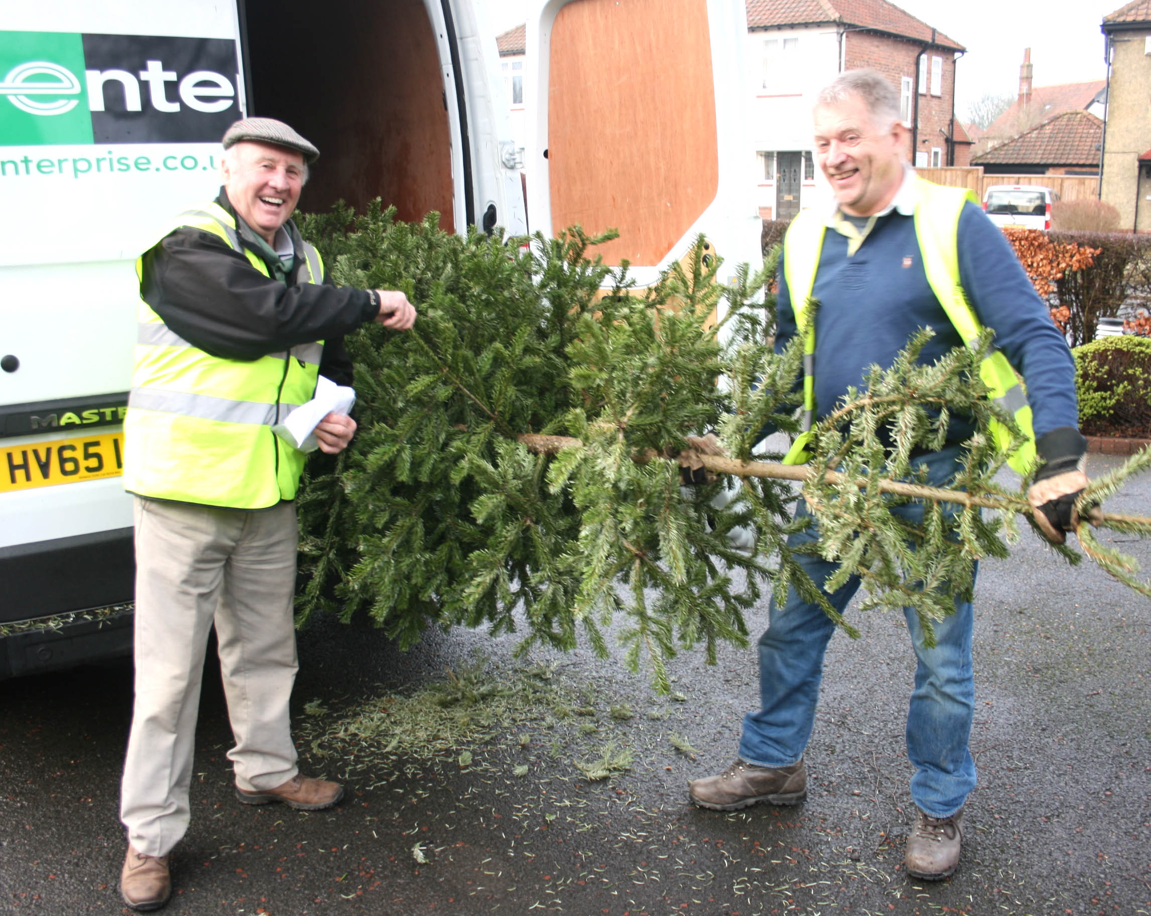 Book Collection of Your Used Christmas Tree