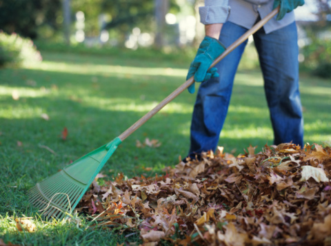 Garden Waste Bin Collections End for Winter months