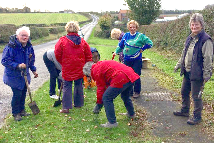 W.I. Members Volunteer to Plant Spring Bulbs